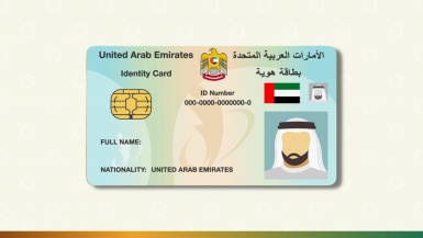 how to check fine on emirates id